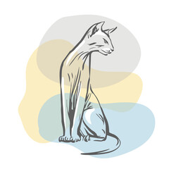 Sphynx cat sketch. Hand drawn color illustration. Vintage poster.