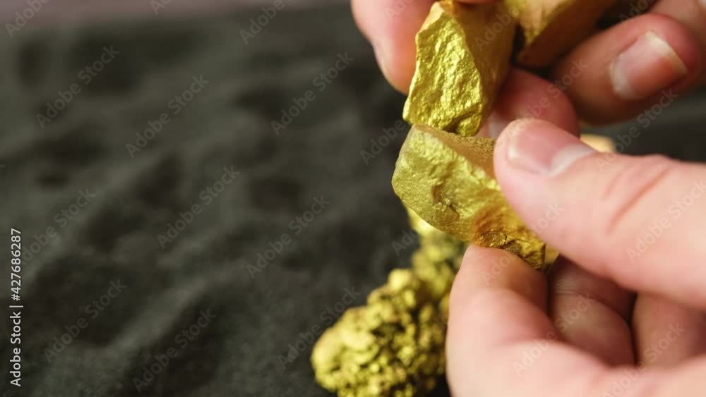 Canvas Prints man's hand is considering holding gold ore from mine on a black sand background.