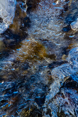 Running water under ice, Mosquito Creek.. Banff National Park.