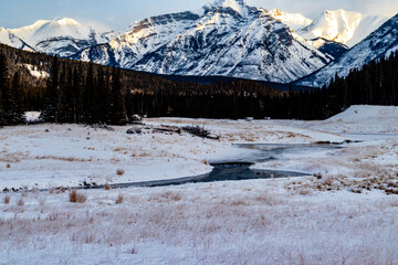 Fototapeta na wymiar Creek flowing to the Paliser Range in a valley. Banff National Park, Alberta, Canada