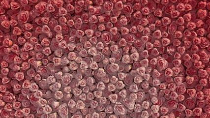 Colorful, Red Flower Blooms arranged in the shape of a wall. Vibrant, Beautiful, Roses composed to create a Elegant floral background. 3D Render