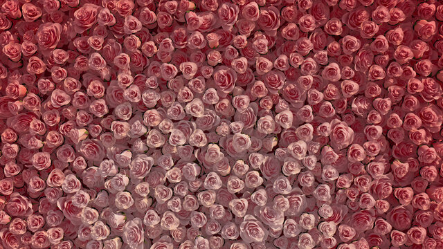 Colorful, Red Flower Blooms arranged in the shape of a wall. Vibrant, Beautiful, Roses composed to create a Elegant floral background. 3D Render