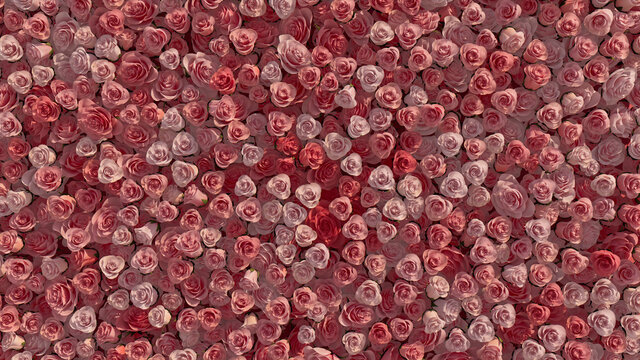 Vibrant, Beautiful Flower Blooms arranged in the shape of a wall. Pink, Romantic, Roses composed to create a Colorful floral background. 3D Render