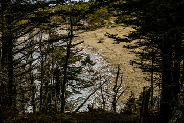Obraz premium Steve's Trail to the beach. Gros Morne National Park, Newfoundland, Canada