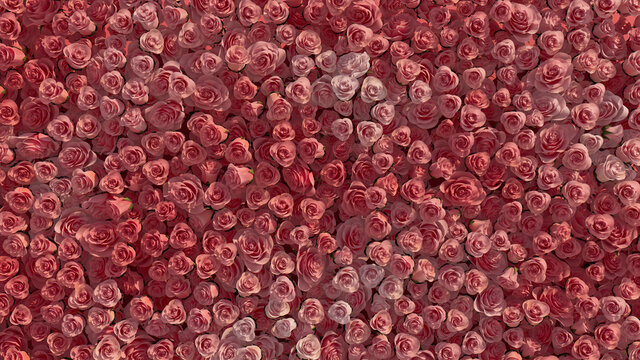 Elegant, Pink Flower Blooms arranged in the shape of a wall. Bright, Colorful, Roses composed to create a Romantic floral background. 3D Render