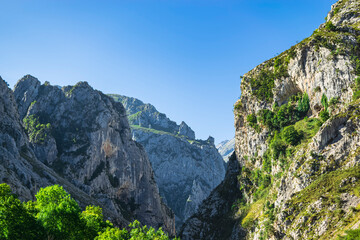 A steep and spectacular valley in the light of day. Photograph taken in the Picos de Europa, Asturias, Spain. 