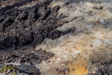 Remains of dirty, half-melted snow on the ground.