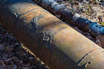 The old metal pipeline of the heating main lies in the forest on the ground. Mossy and rusting metal pipe.