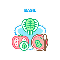 Basil Spice Vector Icon Concept. Basil Spice And Tomato Agricultural Vitamin Ingredients For Cooking Delicious Soup. Vegetable And Healthy Natural Vegetarian Food Color Illustration