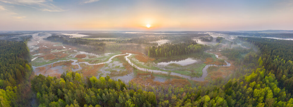 Forest river at dawn