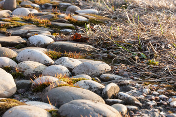 Moss and dry grass near stones