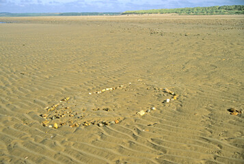 Wet sandy beach with wave ripples. Circle of stones in foreground. Blue sky and woodland background. Norfolk UK coastline.