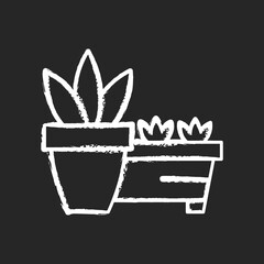 Flower pots and flower beds chalk white icon on black background. Place to grow plants inside house. Gardening equipment and tools. Growing beautiful plants. Isolated vector chalkboard illustration