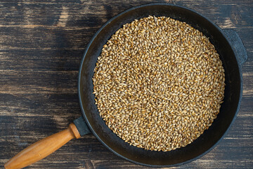 Roasted barley grains in a cast iron skillet on table, top view. Ingredient for beer or kvass