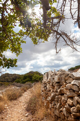 The Byzantine Path, a popular trekking trail in Paros island, Cyclades, Greece, Europe, connecting the traditional villages of Lefkes and Prodromos, through fields, hills and spectacular landscape.