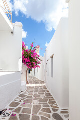 Naklejka premium Beautiful alley with whitewashed houses at the traditional village of Marpissa, in Paros island, Cyclades islands, Greece, Europe.