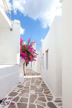 Beautiful alley with whitewashed houses at the traditional village of Marpissa, in Paros island, Cyclades islands, Greece, Europe.