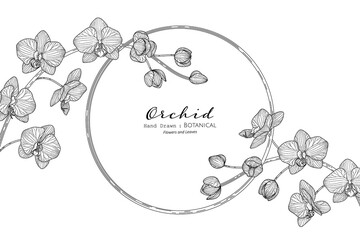Orchid flower and leaf hand drawn botanical illustration with line art. © suwi19