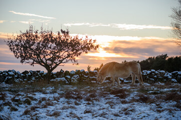 Tasta, Stavanger, Norway