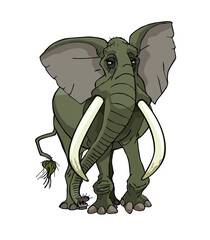 Elephant