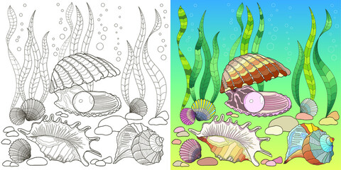 set of two zentangle pictures with sea shells in black and white and color