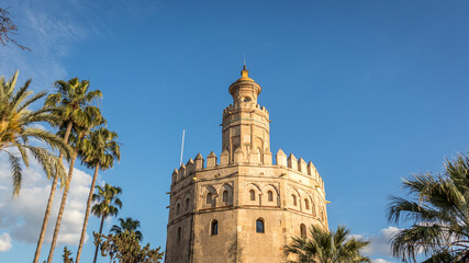 Fototapeta na wymiar Detail of the Torre del Oro in Seville Spain. The Golden Tower next to the palm trees