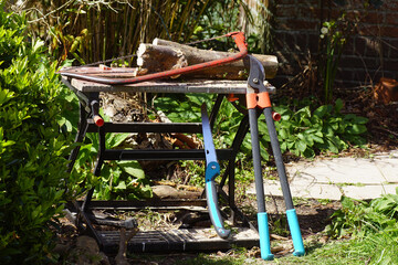 Old folding workbench with lopper, pruning saw, bow saw and a shortened yew branch in a Dutch...