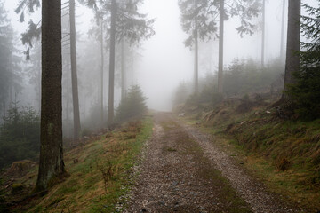 Nebel auf dem Feldberg