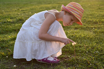 little girl looks at a fluffy dandelion. The rays of the setting sun, glare and backlight. The concept of childhood dreams and innocence