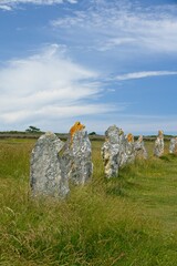 Menhir stone rows of Lagatjar near Camaret-sur-Mer in Bretagne France