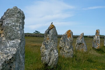 Menhir stone rows of Lagatjar near Camaret-sur-Mer in Bretagne France