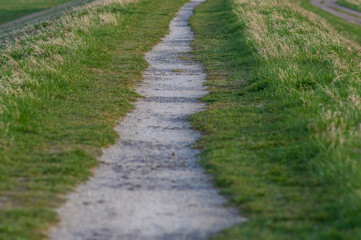 Fototapeta na wymiar polna ścieżka żwirowa wśród traw