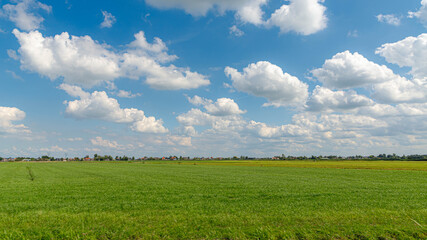 Summer countryside landscape with flat and low land under blue sky, Typical Dutch polder and water land with green meadow, Small canal or ditch on the field along the road, Noord Holland, Netherlands. - obrazy, fototapety, plakaty