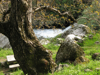 RIOS DE MONTAÑA SIERRA DE GREDOS