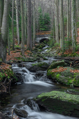 Bily creek near Bila strz waterfall on Bily creek in Sumava national park