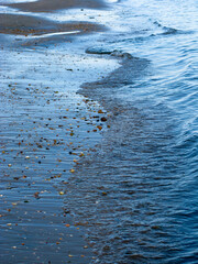 CARTAYA HUELVA LAGUNA EL PORTIL DETALLES