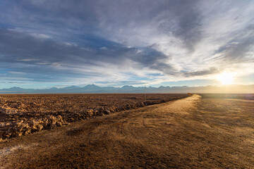 Open field in the Atacama Desert at dawn