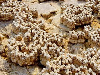 Mars like rock patterns Danakil Depression in Ethiopia.