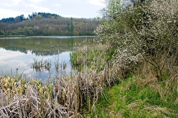 Lake (Immerather maar) in the Volcanic Eifel or Vulkan Eifel mountains in Germany