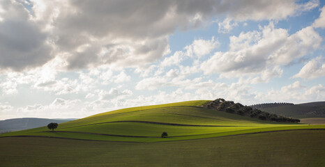 bright green hilly landscape in southern spain