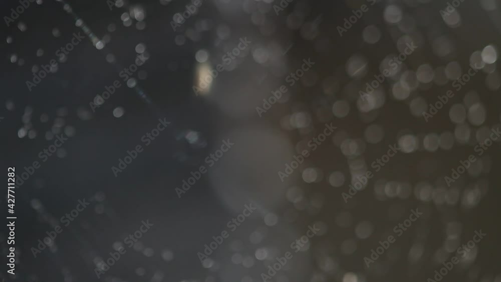 Poster spiderweb gets splashed with water in the morning. macro video
