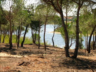 CARTAYA HUELVA LAGUNA EL PORTIL DETALLES