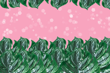 Monstera leaves Seamless tropical and summer pattern with exotic leaves