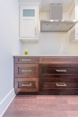 Modern, bright, clean, kitchen interior with stainless steel appliances in a luxury house