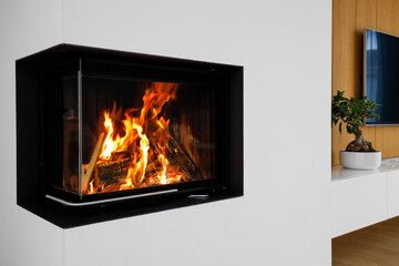 modern solid fuel fireplace