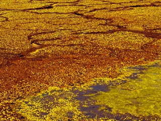 Yellow landscape of sulphur rocks and water in Danakil Depression, Ethiopia.