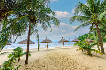 Tien Sa Beach - paradise beach at tropical coast scenery in Da Nang - travel destination in Vietnam