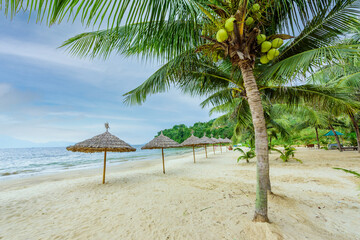 Tien Sa Beach - paradise beach at tropical coast scenery in Da Nang - travel destination in Vietnam