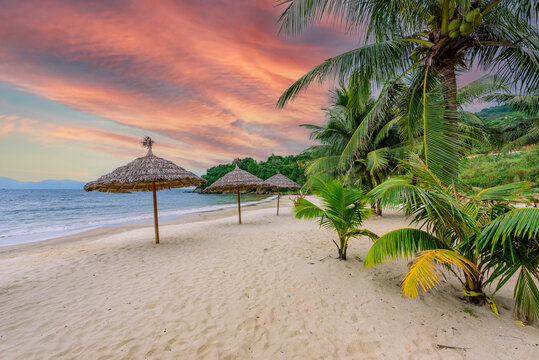 Tien Sa Beach - paradise beach at tropical coast scenery in Da Nang - travel destination in Vietnam