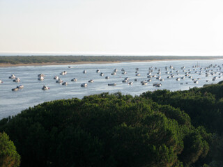 CARTAYA HUELVA DETALLES